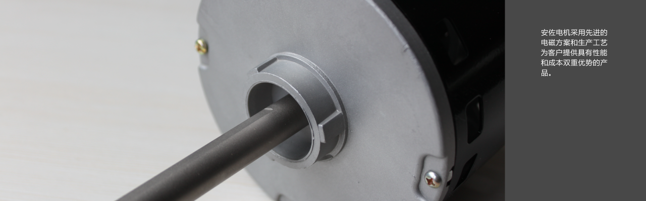 ANZO Motor